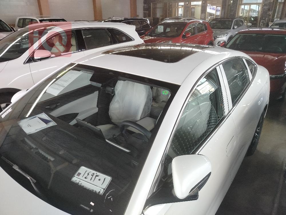 بي واي دي سيل 06 DM-i